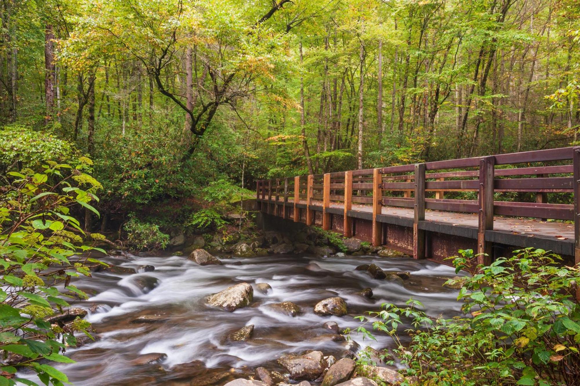The Nut House, Hot Tub, Game Room, Wifi, 1089 Free Tickets Each Paid Day, Dollywood And More! Pigeon Forge Zewnętrze zdjęcie